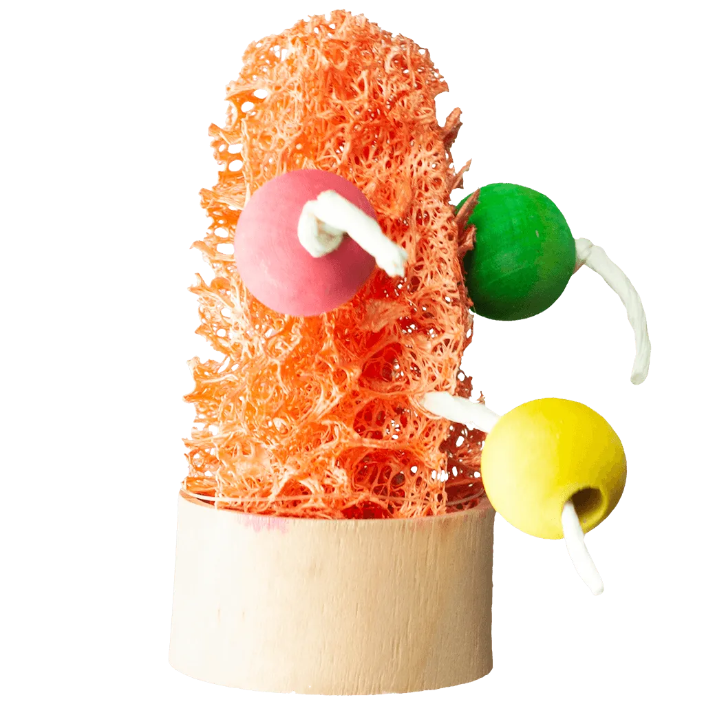 A&E Loofah Succulent Chew with Wood Beads