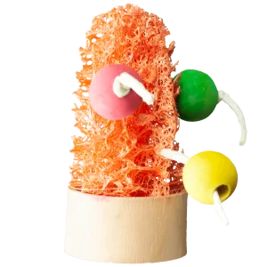 A&E Loofah Succulent Chew with Wood Beads