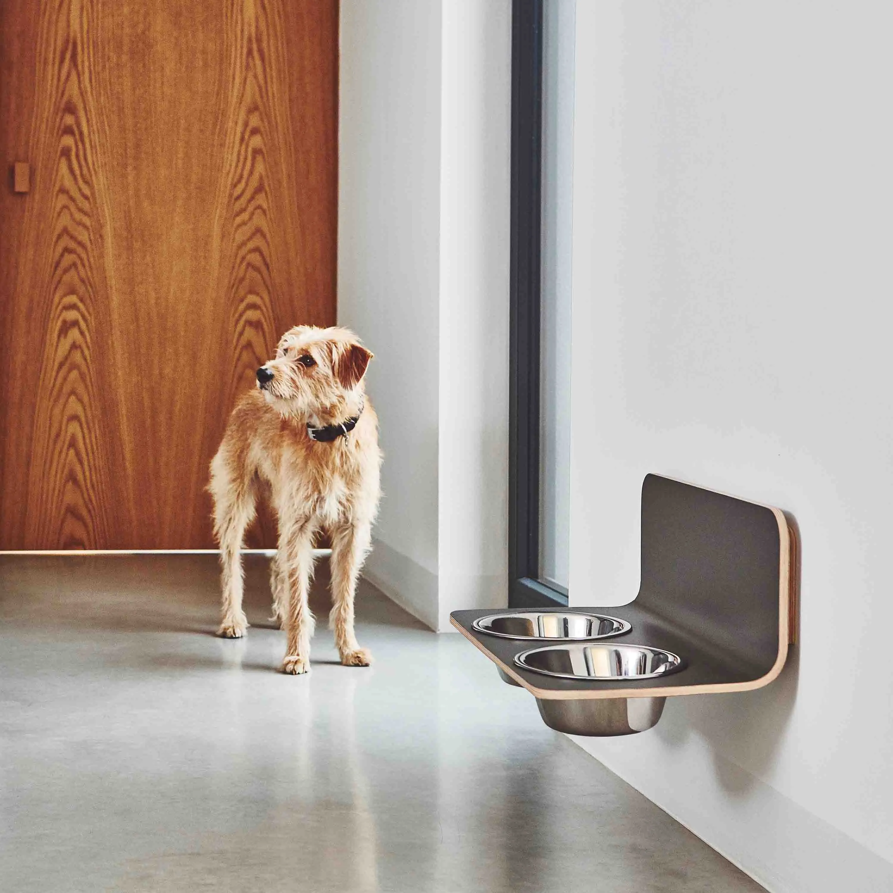 Arco Dog Feeder
