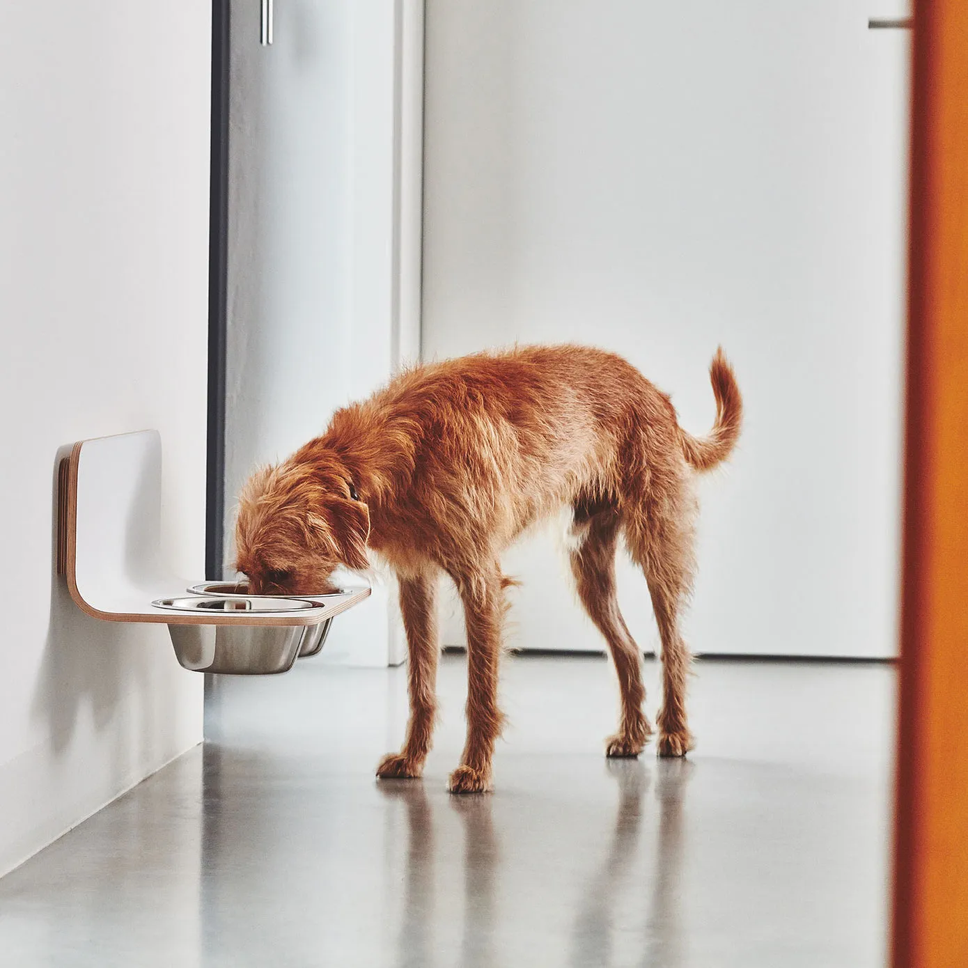 Arco Dog Feeder