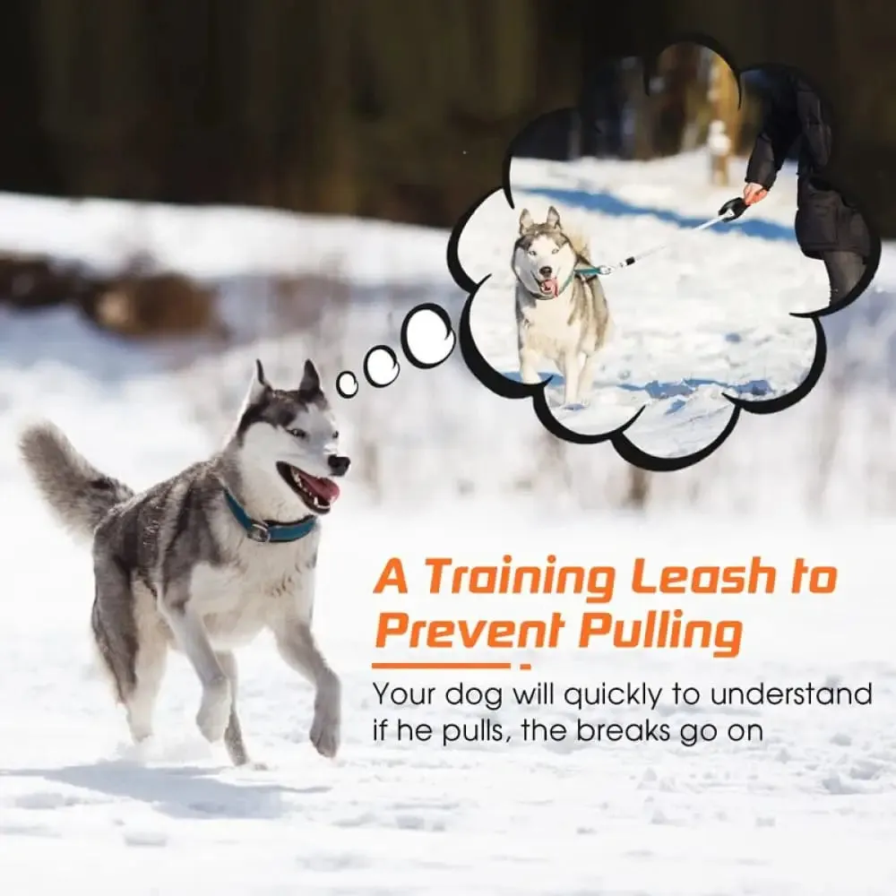 Autobrake Retractable Comfortable Heavy Duty no Tangle Leash for Large Dogs Prevent Pulling