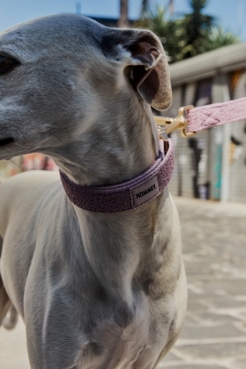 Boucle Pet Collar - Lilac