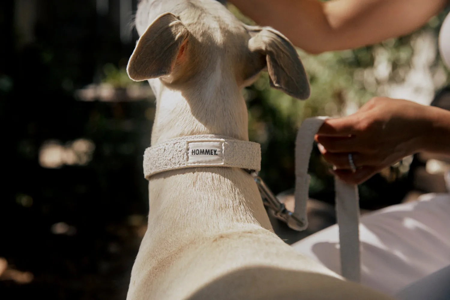 Boucle Pet Collar - Milkshake