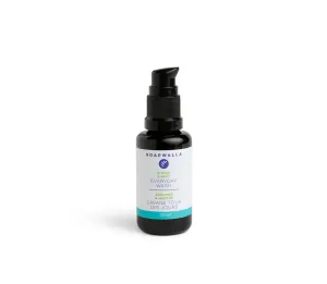 Citrus & Mint Everyday Wash (Travel)