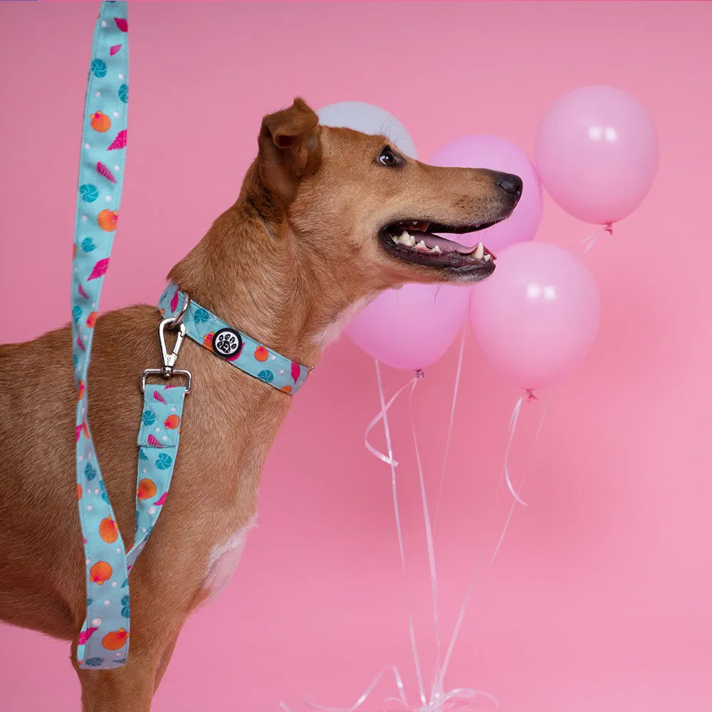 Dear Pet Dancing Pearls Dog Collar
