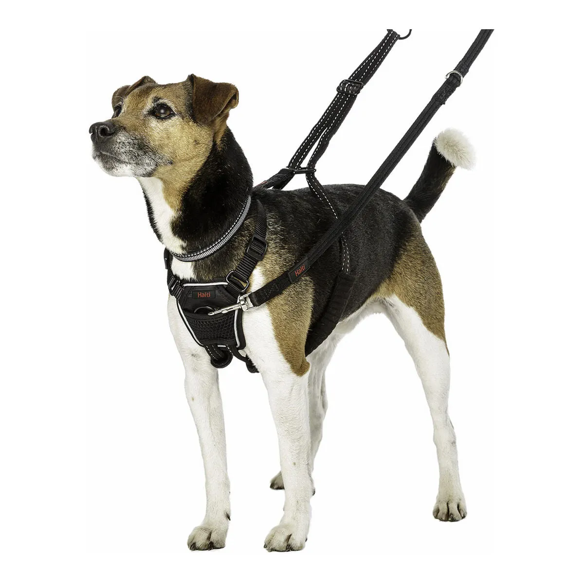 Dog Harness by Company of Animals Halti Size s 2636 Cm