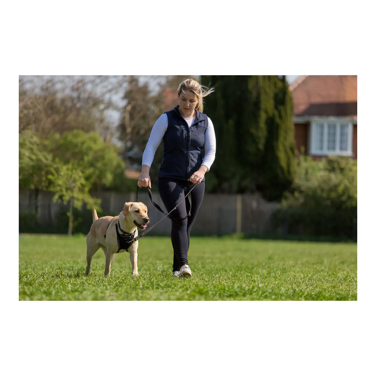 Dog Harness by Company of Animals Halti Size s 2636 Cm