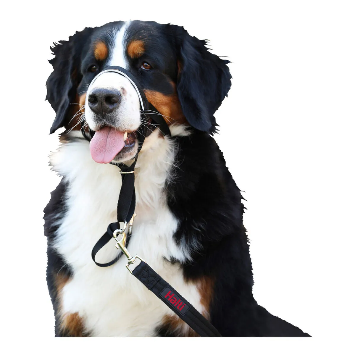 Dog Training Collars by Company of Animals Halti Black Muzzle 2936 Cm