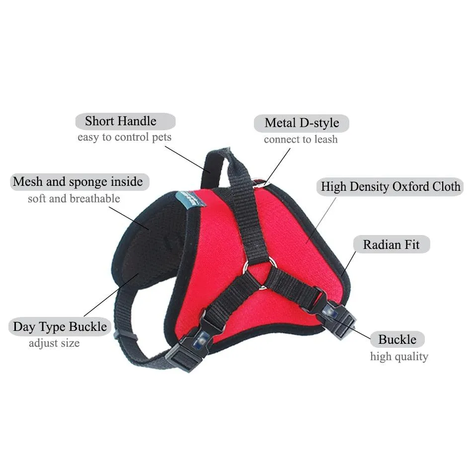 Dog's Padded Harness