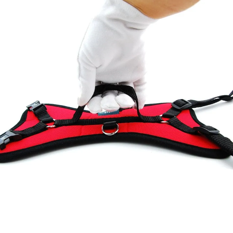 Dog's Padded Harness