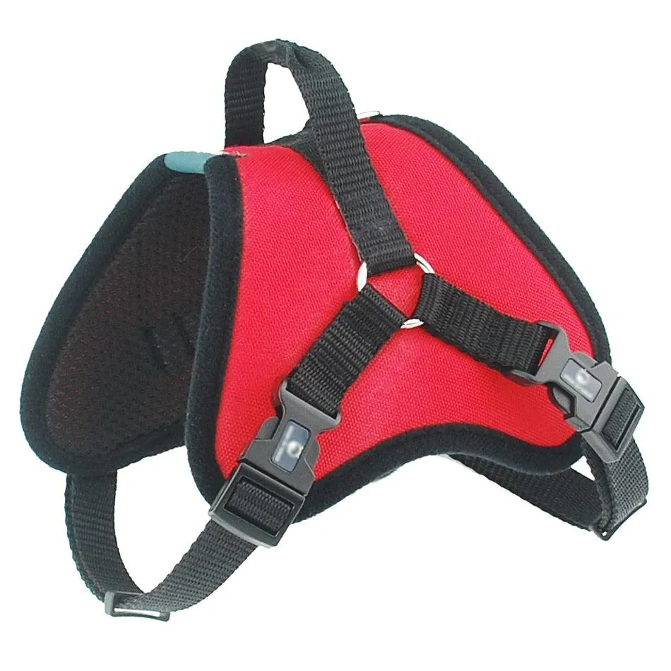 Dog's Padded Harness