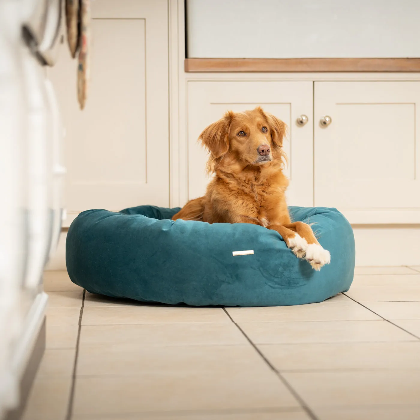 Donut Bed With Removable Covers in Marine Velvet by Lords & Labradors
