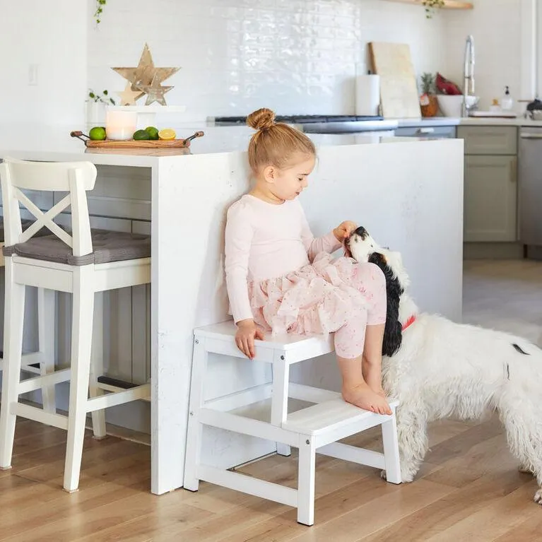 Dream on Me Dream On Me 2 in 1 Funtastic Tower and Step Stool