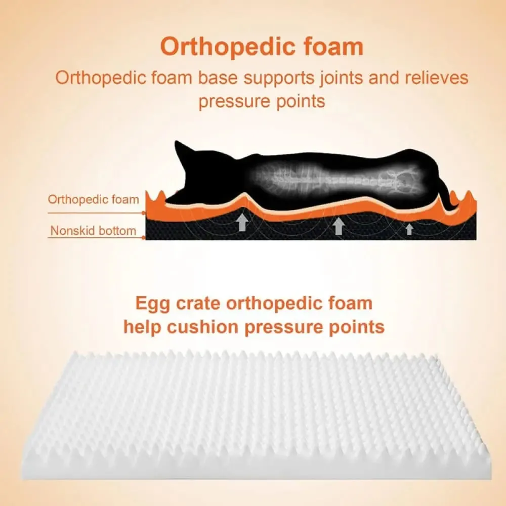 Durable Comfy Removeable Foam Pet Bed for Small, Medium, and Large Dogs