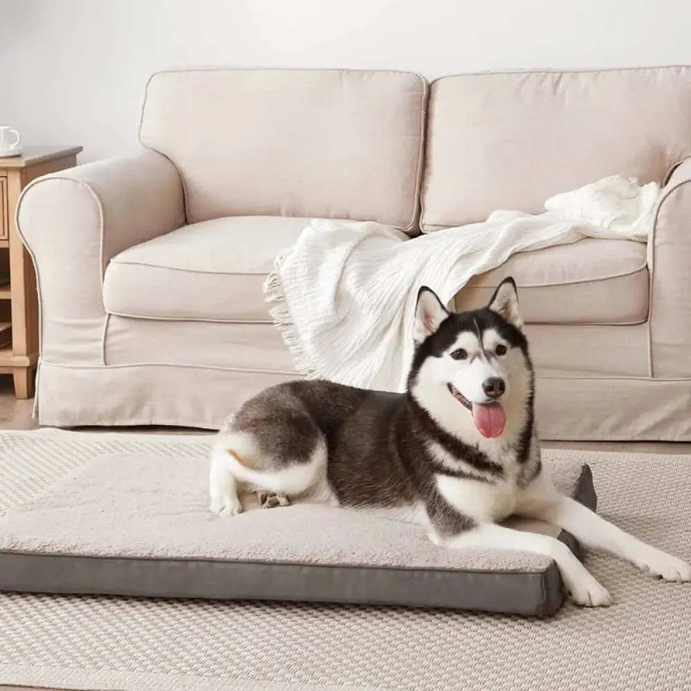 Durable Comfy Removeable Foam Pet Bed for Small, Medium, and Large Dogs