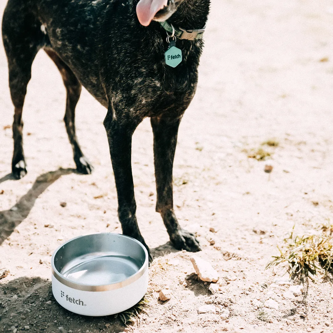 Fetch® Stainless Steel Bowls