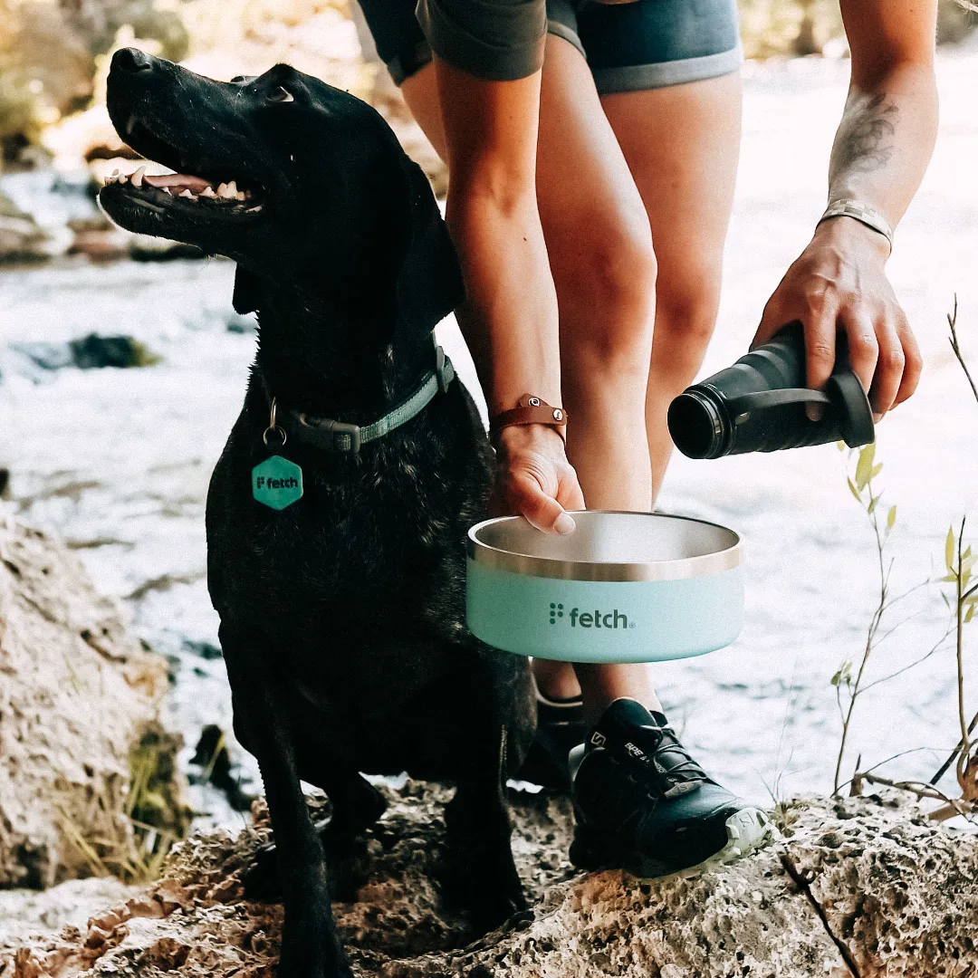 Fetch® Stainless Steel Bowls