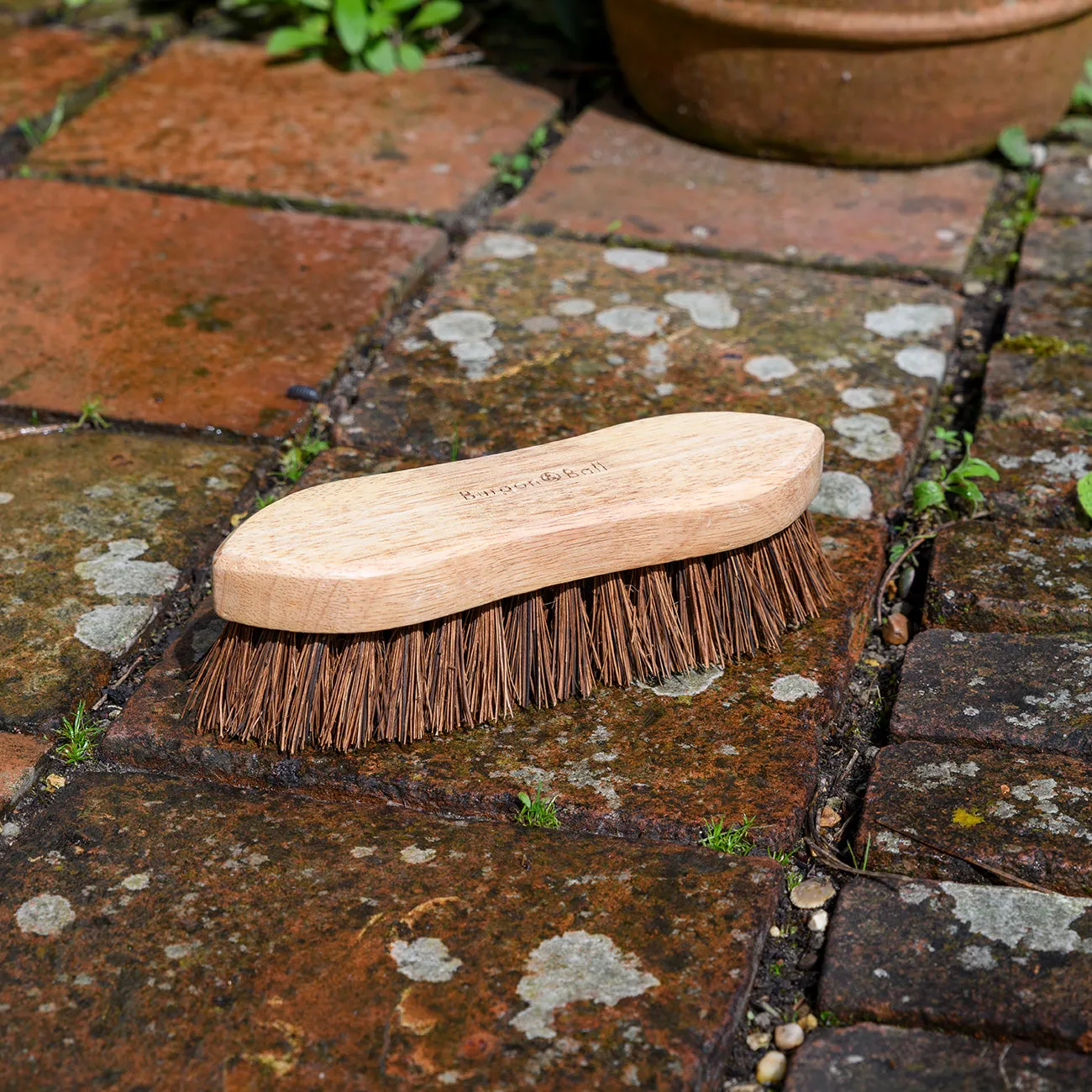 Hand Scrub Brush - RHS Endorsed