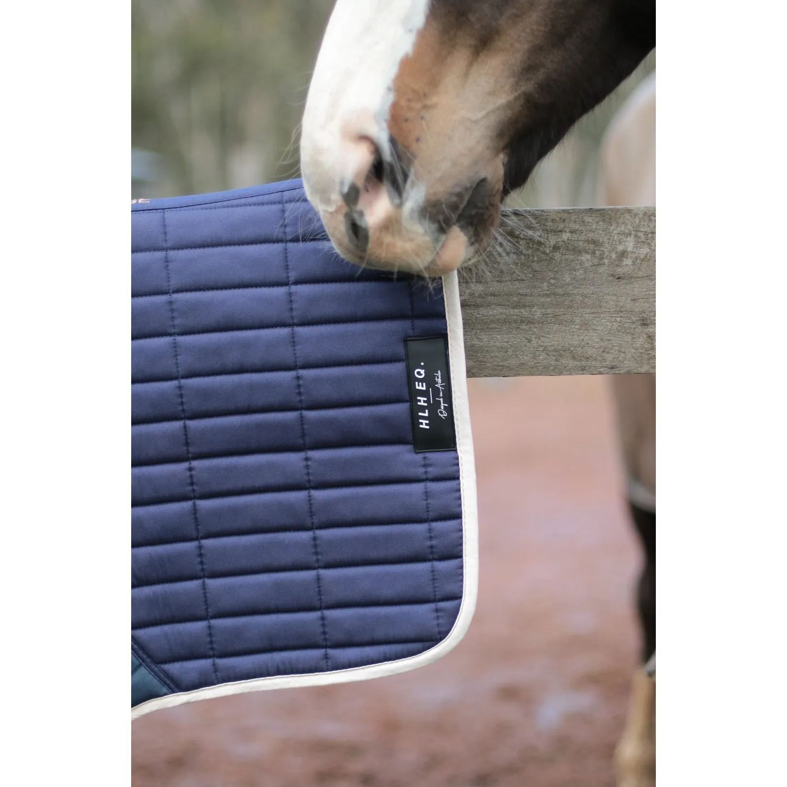 HLH Equestrian Apparel Jump Pads