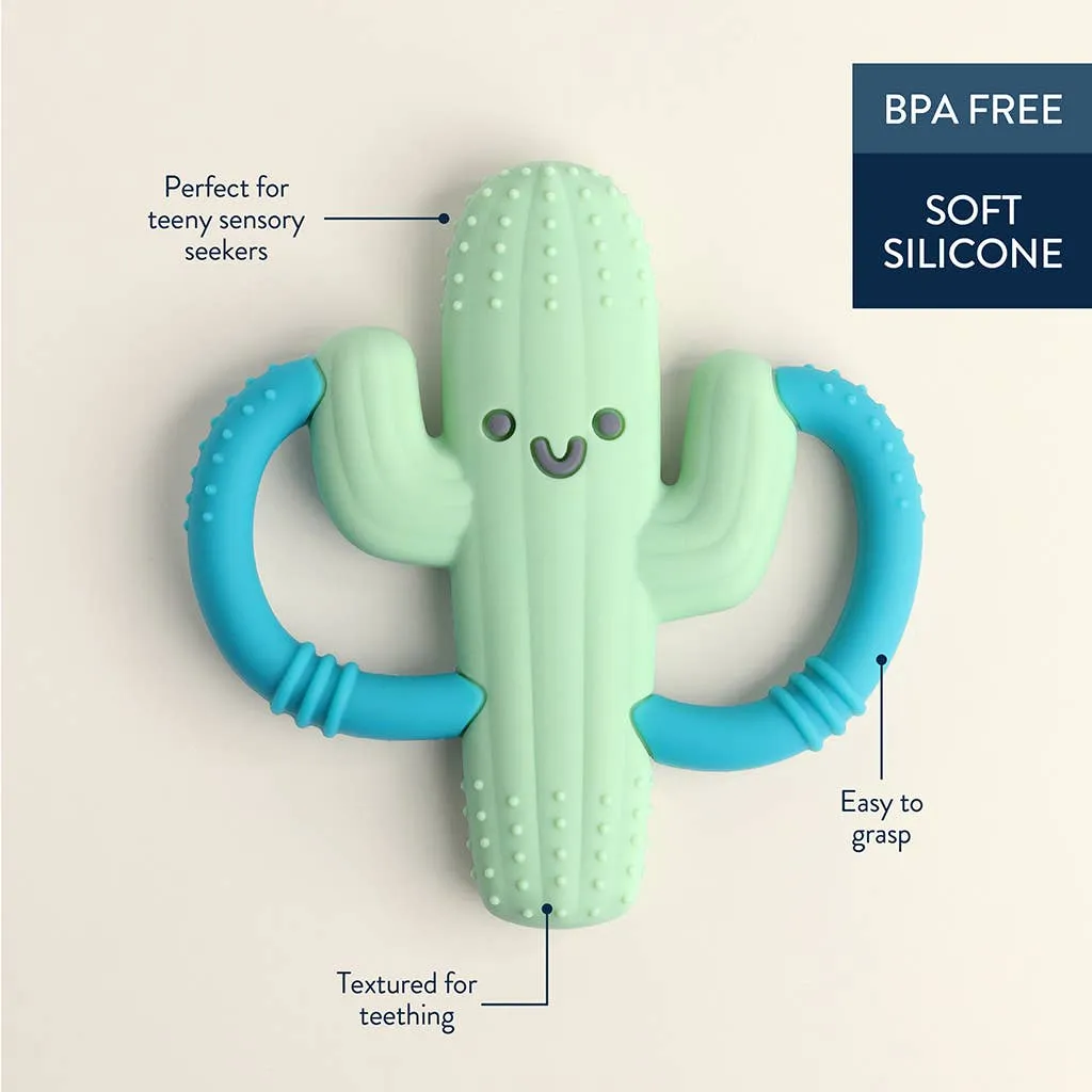 Itzy Ritzy - Chew Crew Cactus