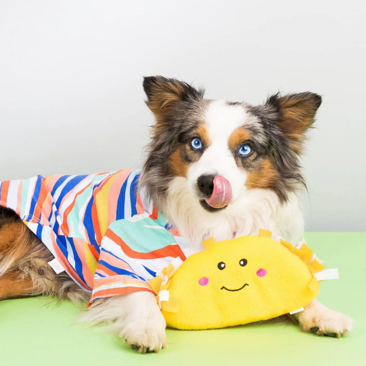 Nom Nomz Taco Toy