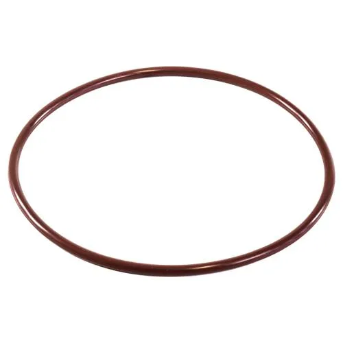 Pentair O-Ring R172240