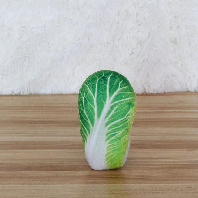 Squeaky Food Chew Toys