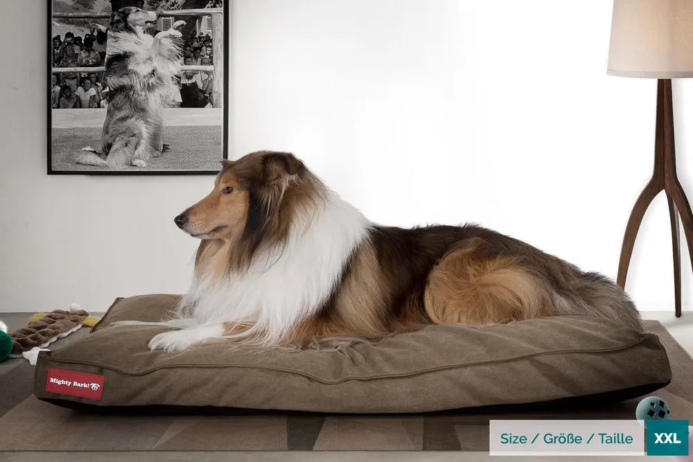 The Mattress Orthopedic Classic Memory Foam Dog Bed - Canvas Earth